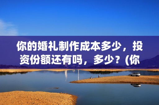 你的婚礼制作成本多少，投资份额还有吗，多少？(你的婚礼 制片方)