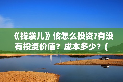 《钱袋儿》该怎么投资?有没有投资价值？成本多少？(钱袋子app是什么)
