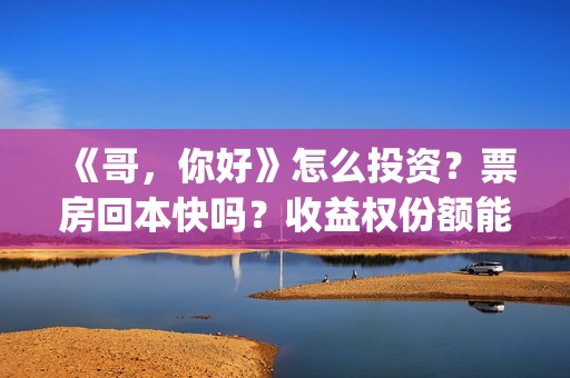 《哥，你好》怎么投资？票房回本快吗？收益权份额能对个人转让吗？(哥哥你好吗是什么歌)