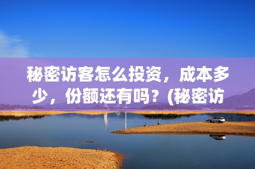 秘密访客怎么投资，成本多少，份额还有吗？(秘密访客害怕么)