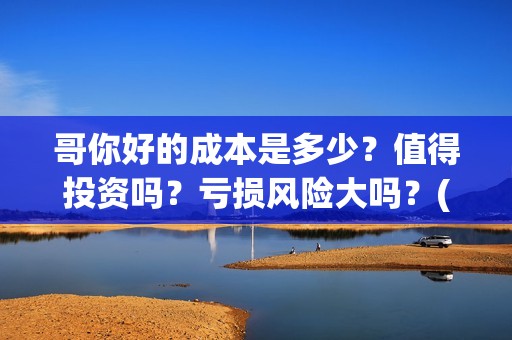 哥你好的成本是多少？值得投资吗？亏损风险大吗？(你好哥哥表情包)