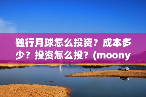 独行月球怎么投资？成本多少？投资怎么投？(moonyou-独行月球)