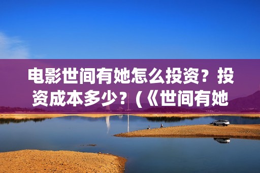 电影世间有她怎么投资？投资成本多少？(《世间有她》)