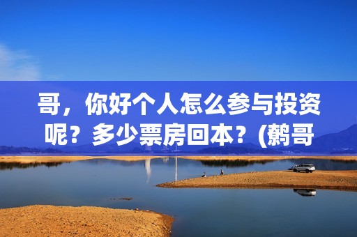 哥，你好个人怎么参与投资呢？多少票房回本？(鹩哥你好mp3)