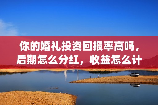 你的婚礼投资回报率高吗，后期怎么分红，收益怎么计算的？(电影你的婚礼投资成本)