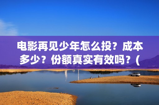 电影再见少年怎么投？成本多少？份额真实有效吗？(电影 再见少年)