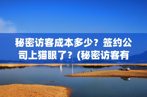 秘密访客成本多少？签约公司上猫眼了？(秘密访客有多久)