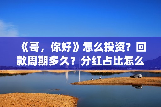 《哥，你好》怎么投资？回款周期多久？分红占比怎么计算？(你好哥哥)