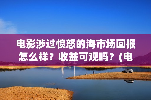 电影涉过愤怒的海市场回报怎么样？收益可观吗？(电影涉过愤怒的海评分)