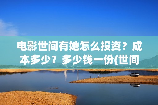 电影世间有她怎么投资？成本多少？多少钱一份(世间有她电影现在什么情况)