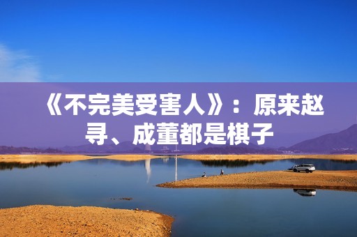 《不完美受害人》：原来赵寻、成董都是棋子