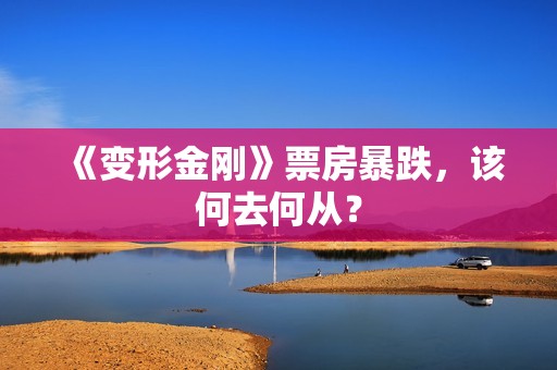 《变形金刚》票房暴跌，该何去何从？