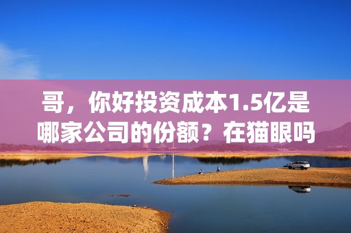 哥，你好投资成本1.5亿是哪家公司的份额？在猫眼吗？预测票房多少？(鹩哥你好mp3)