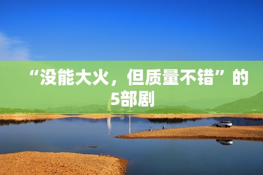 “没能大火，但质量不错”的5部剧