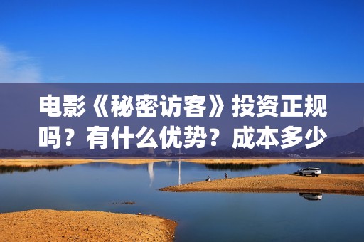 电影《秘密访客》投资正规吗？有什么优势？成本多少？(电影《秘密访客》演员表)