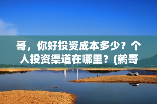 哥，你好投资成本多少？个人投资渠道在哪里？(鹩哥你好mp3)
