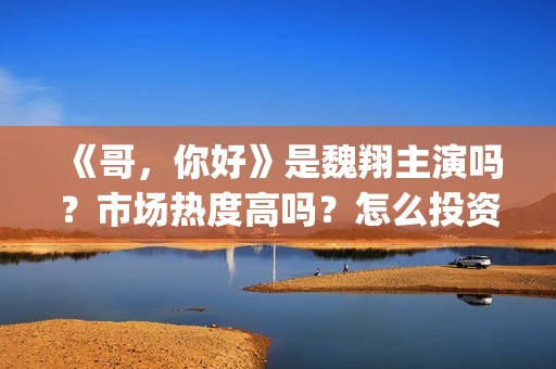 《哥，你好》是魏翔主演吗？市场热度高吗？怎么投资认购？分账快吗？(鹩哥你好mp3)