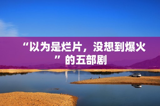 “以为是烂片，没想到爆火”的五部剧