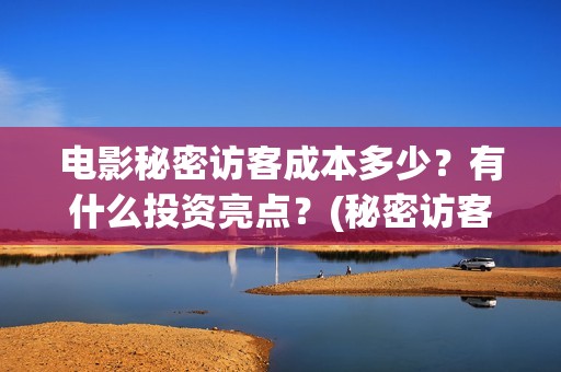 电影秘密访客成本多少？有什么投资亮点？(秘密访客电影啥意思)