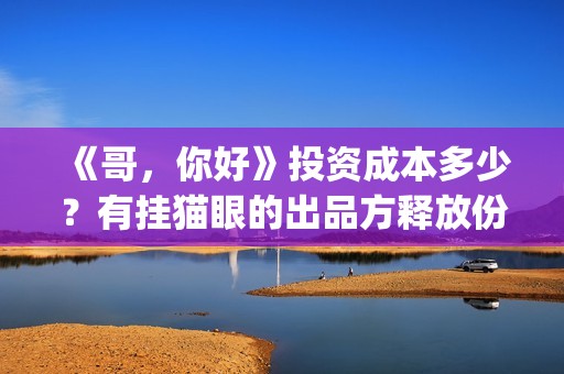 《哥，你好》投资成本多少？有挂猫眼的出品方释放份额吗？(哥哥你好牛)