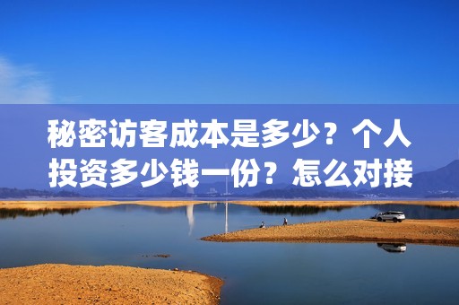 秘密访客成本是多少？个人投资多少钱一份？怎么对接出品方？(秘密访客有何意义)