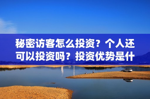 秘密访客怎么投资？个人还可以投资吗？投资优势是什么？(秘密访客怎么投资)