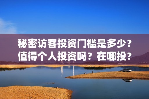 秘密访客投资门槛是多少？值得个人投资吗？在哪投？(秘密访客总投资)