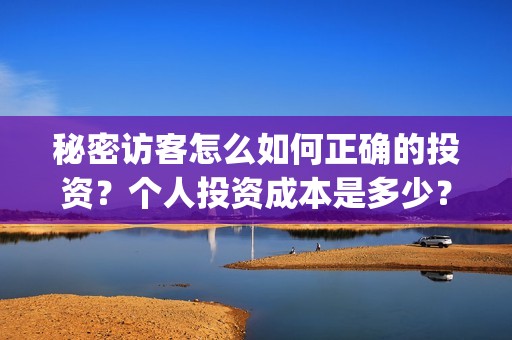 秘密访客怎么如何正确的投资？个人投资成本是多少？(秘密访客怎么看)