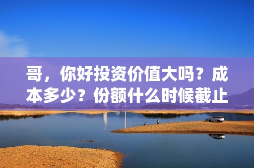 哥，你好投资价值大吗？成本多少？份额什么时候截止？(歌曲哥哥你好)