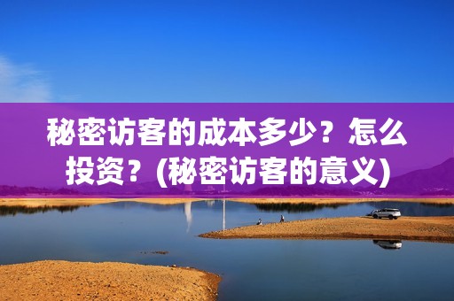 秘密访客的成本多少？怎么投资？(秘密访客的意义)