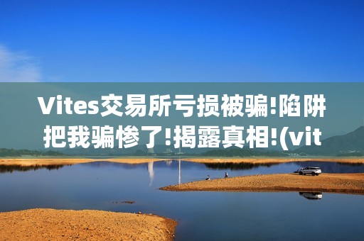 Vites交易所亏损被骗!陷阱把我骗惨了!揭露真相!(vitex交易所)