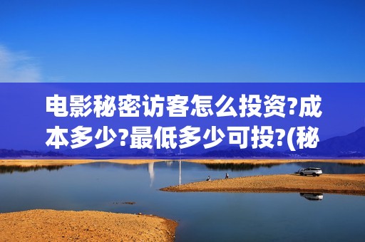 电影秘密访客怎么投资?成本多少?最低多少可投?(秘密访客 hd)