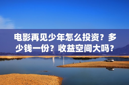 电影再见少年怎么投资？多少钱一份？收益空间大吗？(再见少年电影啥意思)