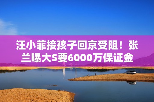 汪小菲接孩子回京受阻！张兰曝大S要6000万保证金