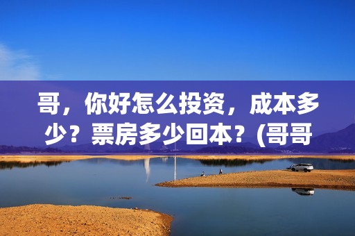 哥，你好怎么投资，成本多少？票房多少回本？(哥哥你好牛)