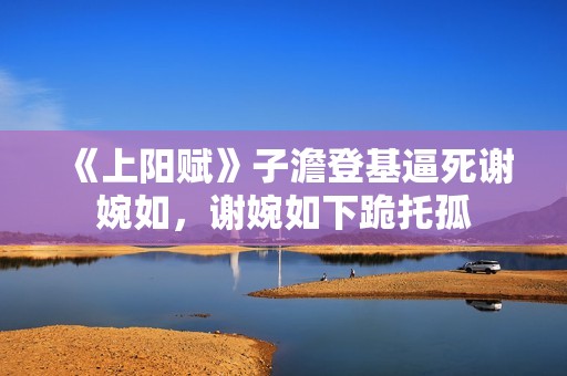 《上阳赋》子澹登基逼死谢婉如，谢婉如下跪托孤