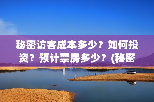 秘密访客成本多少？如何投资？预计票房多少？(秘密访客总投资多少)