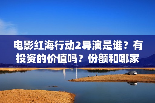 电影红海行动2导演是谁？有投资的价值吗？份额和哪家公司认购？(电影红海行动2图片)