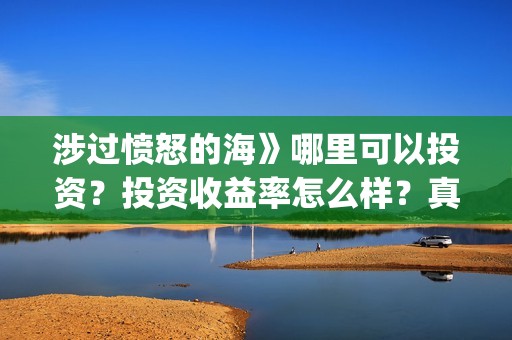 涉过愤怒的海》哪里可以投资？投资收益率怎么样？真实吗？(涉过愤怒的海周依然做出的牺牲)