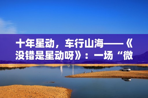 十年星动，车行山海——《没错是星动呀》：一场“微综艺+”的价值破局实验