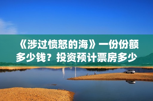 《涉过愤怒的海》一份份额多少钱？投资预计票房多少？(涉过愤怒的海在线播放免费观看全集电视剧爱奇艺)