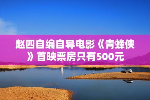 赵四自编自导电影《青蜂侠》首映票房只有500元