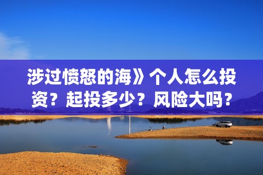 涉过愤怒的海》个人怎么投资？起投多少？风险大吗？(涉过愤怒的海免费观看完整版电视剧高清)
