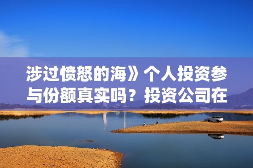 涉过愤怒的海》个人投资参与份额真实吗？投资公司在哪？(涉过愤怒的海删掉了什么)