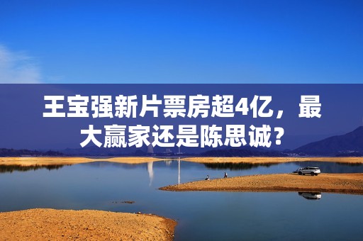 王宝强新片票房超4亿，最大赢家还是陈思诚？