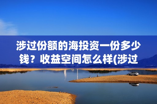 涉过份额的海投资一份多少钱？收益空间怎么样(涉过份额的海投怎么办)