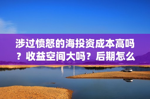 涉过愤怒的海投资成本高吗？收益空间大吗？后期怎么分账？(涉过愤怒的海事件原型)