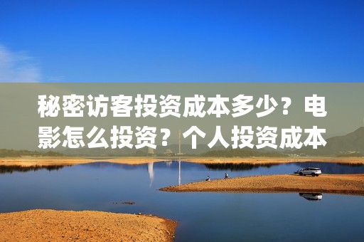 秘密访客投资成本多少？电影怎么投资？个人投资成本多少？(秘密访客的投资成本)