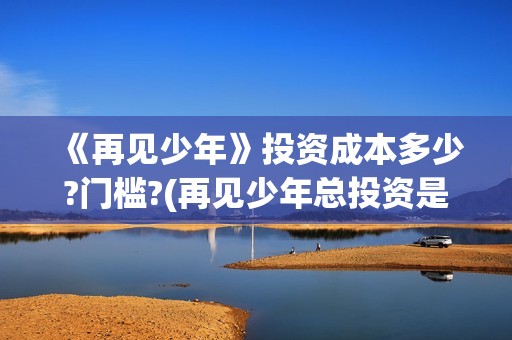《再见少年》投资成本多少?门槛?(再见少年总投资是多少)
