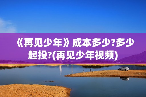 《再见少年》成本多少?多少起投?(再见少年视频)